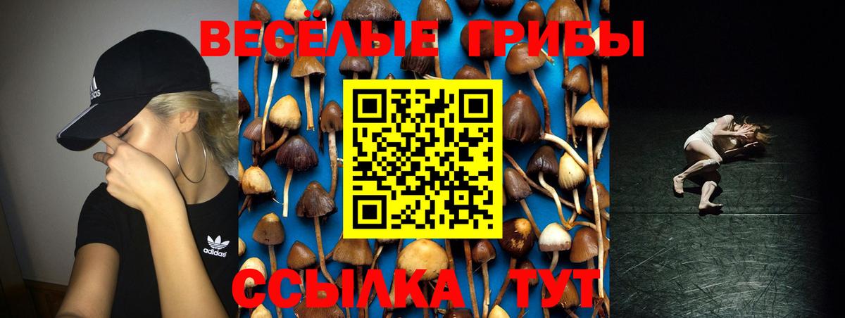 Конопля  Вход с VPN  APVP СОЛЬ кристаллы  Кокаин  МДМА  Меф МЯУ МЯУ кристаллы  Нерюнгри  ГАШ 